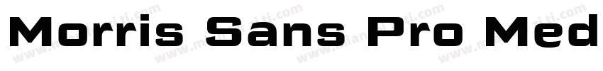 Morris Sans Pro Medi字体转换